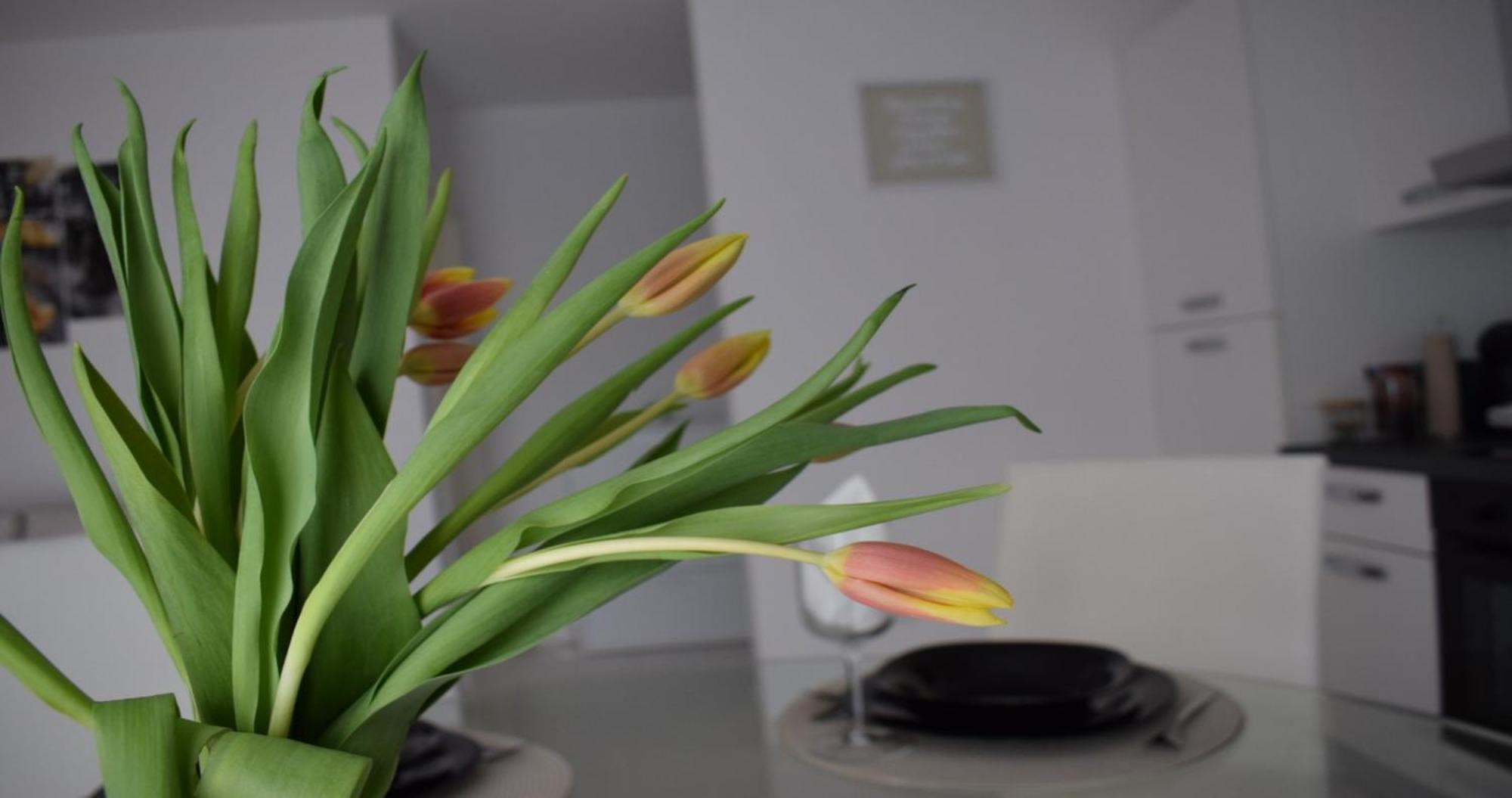 Apartmani Foresta Kras Ngoại thất bức ảnh