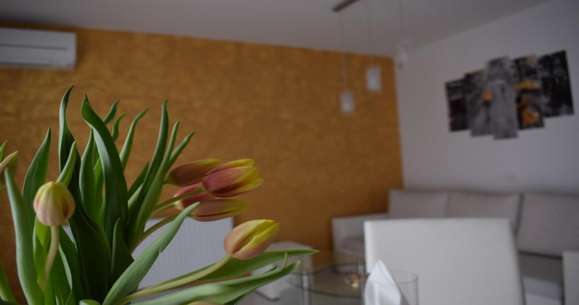Apartmani Foresta Kras Ngoại thất bức ảnh